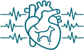 Cardiología Veterinaria Avanzada