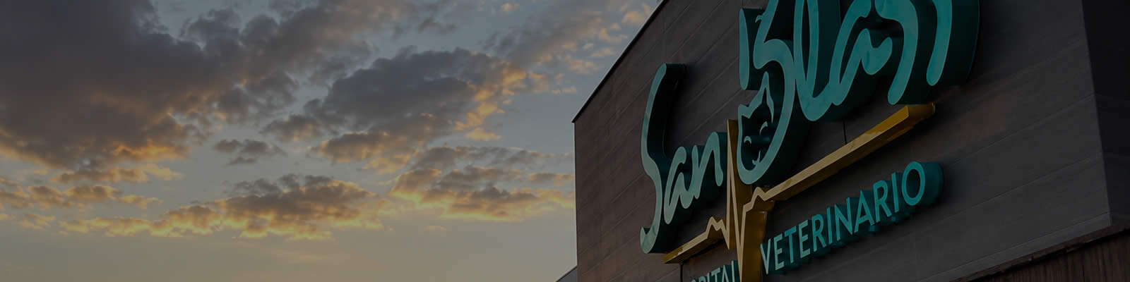 veterinaria sanblass title bg