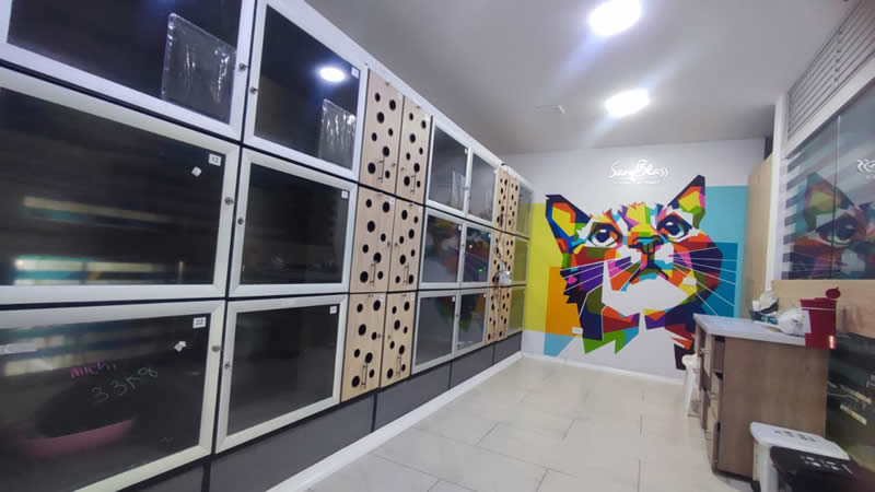 Área hospitalización gatos veterinaria San Blass