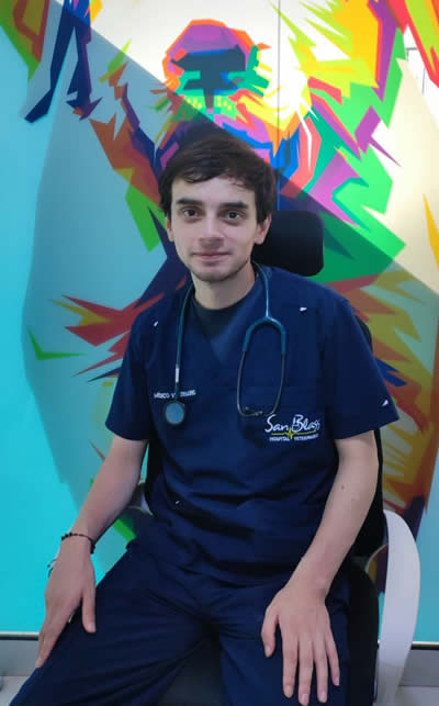 Médico Veterinario Andres Felipe Ibarra Ruiz