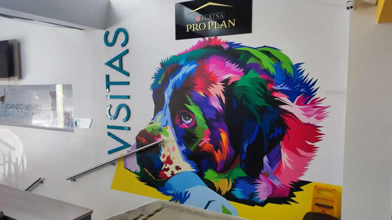 Recepción visitas Hospitalización Hospital Veterinario San Blass
