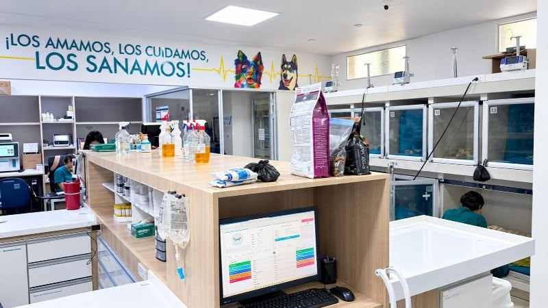 Área hospitalización perros veterinaria San Blass