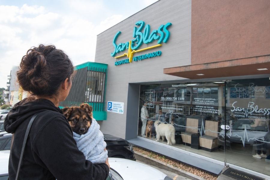 Dueño llevando a su cachorro envuelto en una toalla a urgencias veterinarias por sospecha de parvovirus